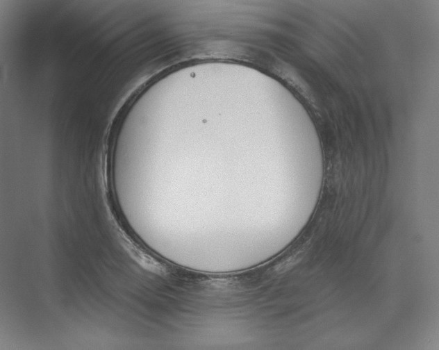 X0000073991130200609060951