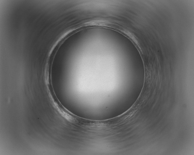 X0000073991131200609060951