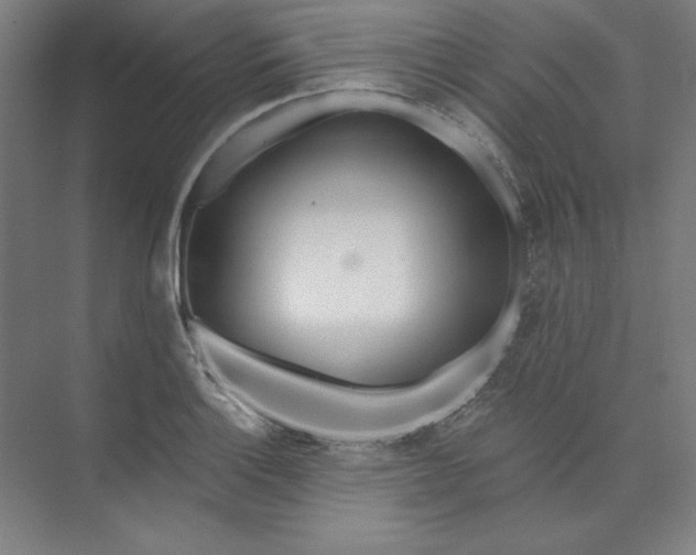 X0000073991132200609060951