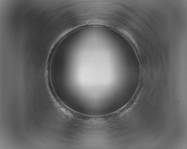 X0000073991133200609060951