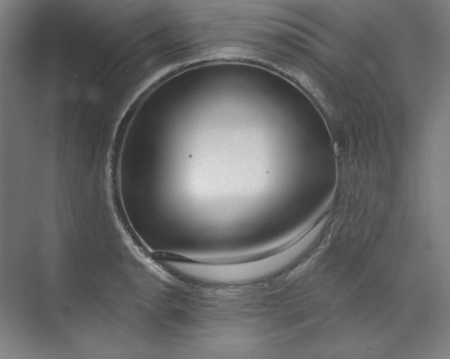 X0000073991134200609060951