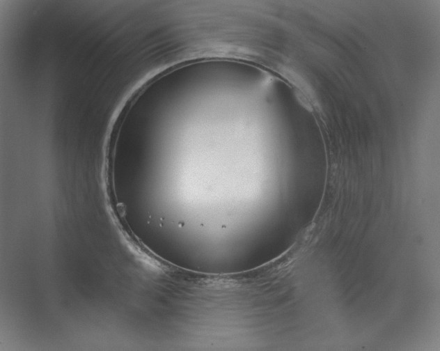 X0000073991136200609060951