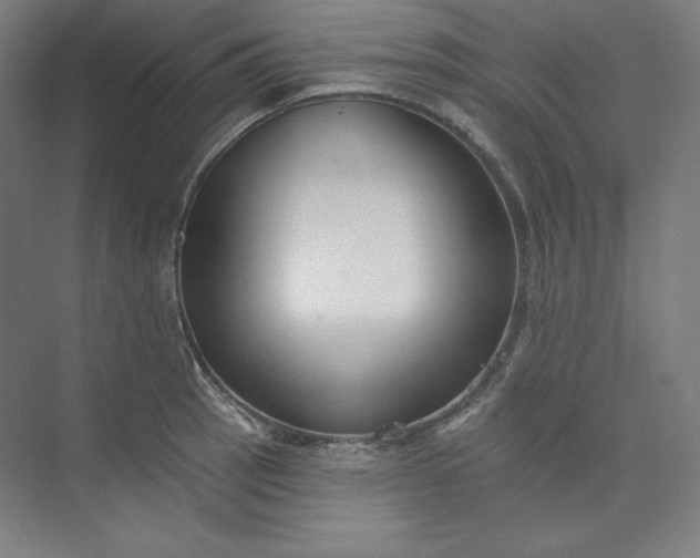 X0000073991137200609060951