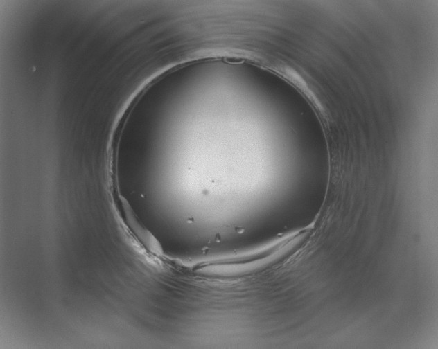 X0000073991140200609060951