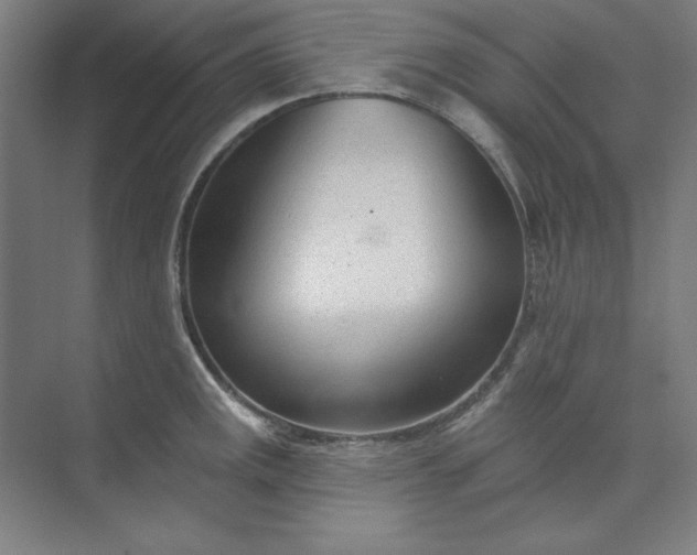 X0000073991141200609060951