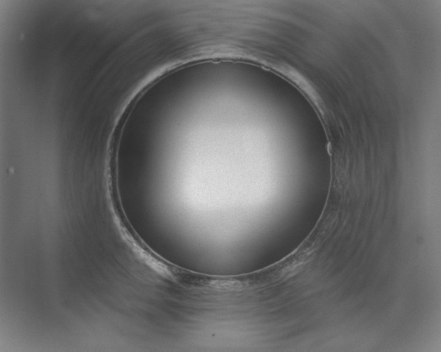 X0000073991142200609060951