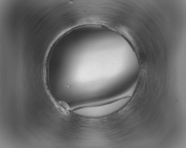 X0000073991144200609060951