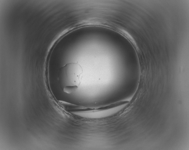 X0000073991146200609060951