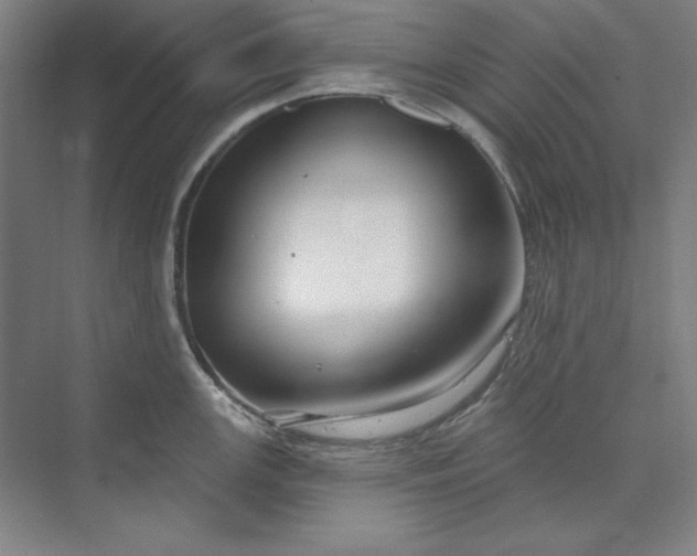 X0000073991147200609060951