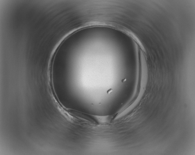 X0000073991148200609060951