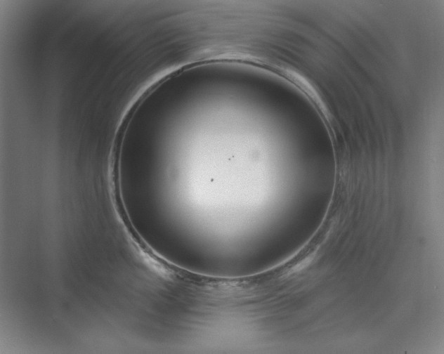 X0000073991149200609060951