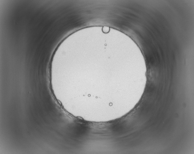 X0000073991150200609060951