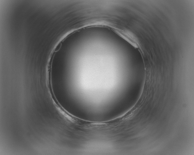 X0000073991151200609060951