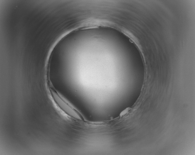 X0000073991152200609060951