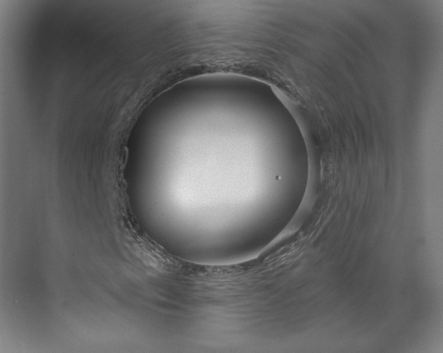 X0000073991153200609060950