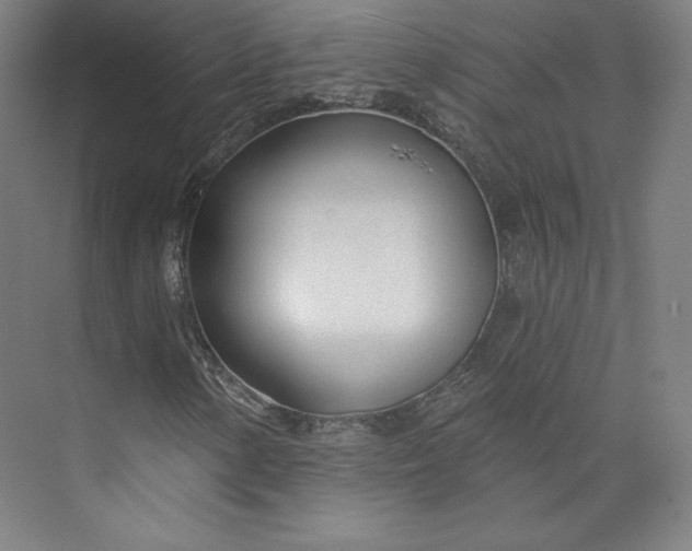 X0000073991154200609060950