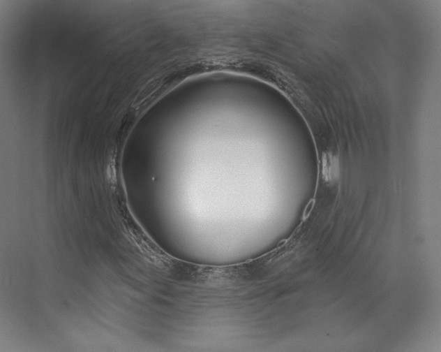 X0000073991155200609060950