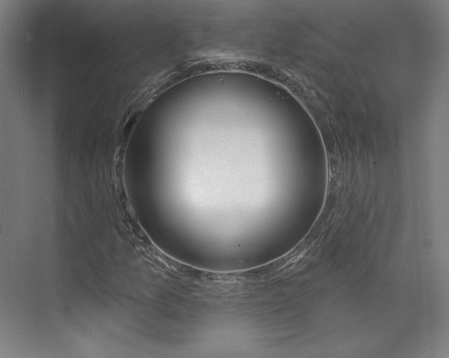 X0000073991157200609060950