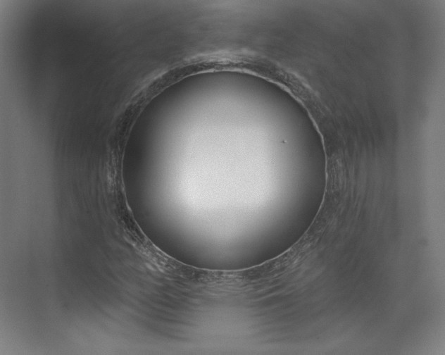 X0000073991158200609060950