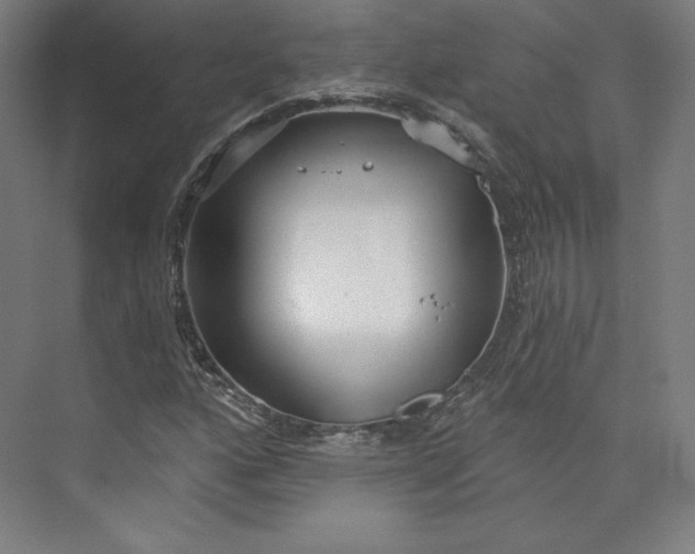 X0000073991160200609060950