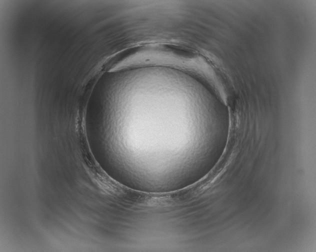 X0000073991161200609060950