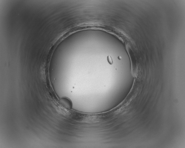 X0000073991162200609060950