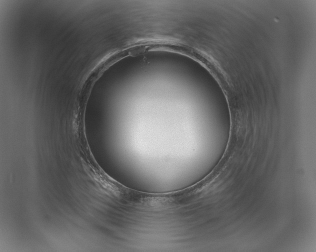 X0000073991163200609060950