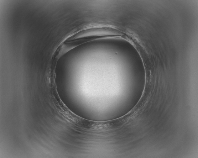 X0000073991165200609060950