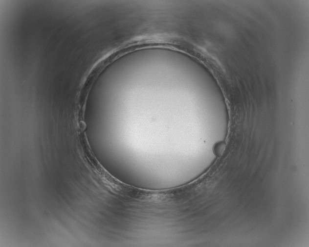 X0000073991166200609060950