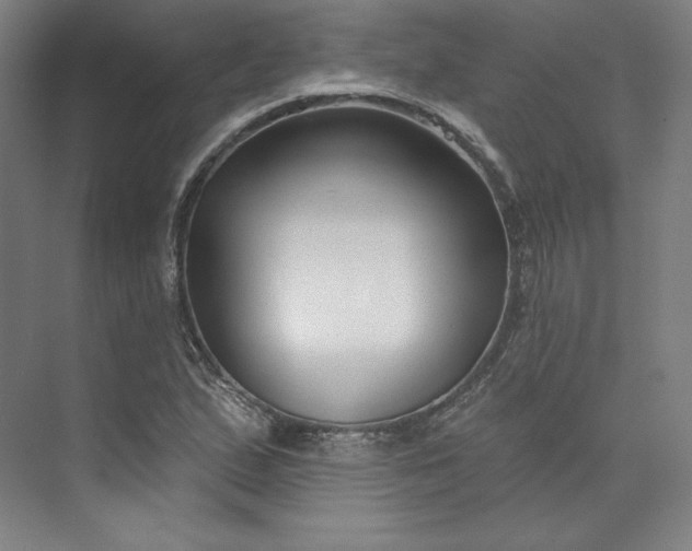 X0000073991167200609060950