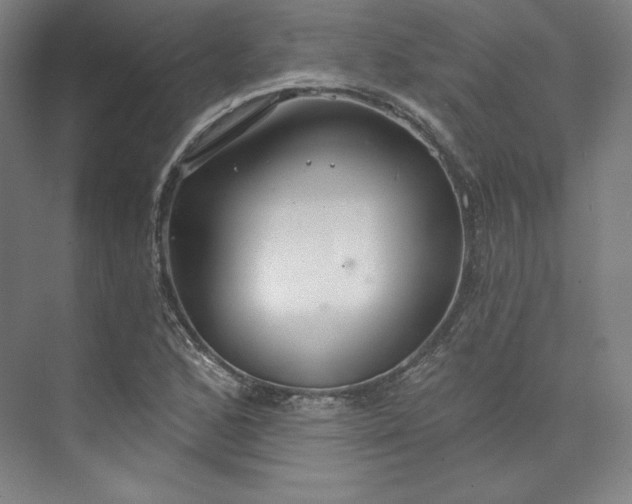 X0000073991168200609060950