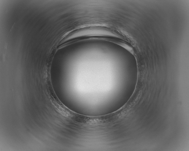 X0000073991169200609060950