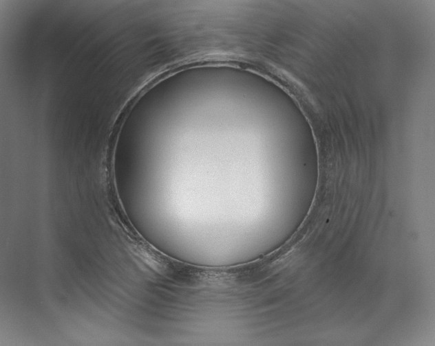 X0000073991170200609060950