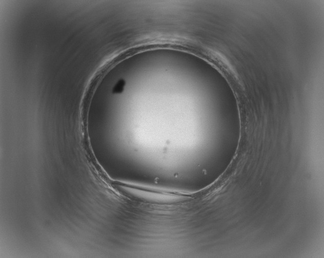 X0000073991172200609060950