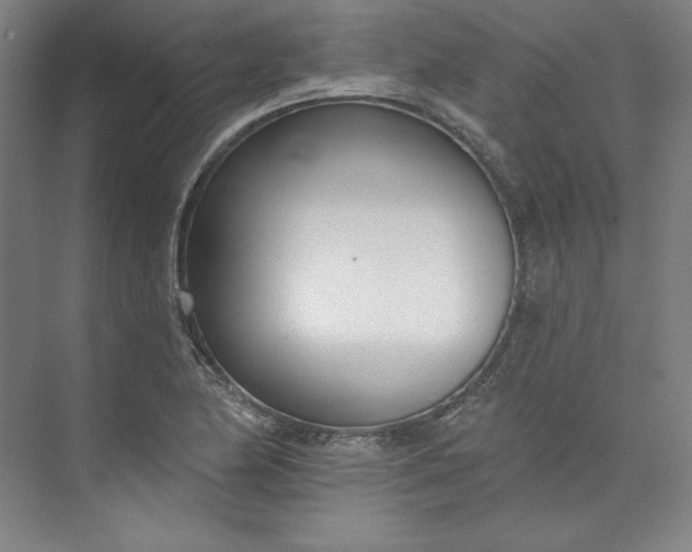 X0000073991174200609060950