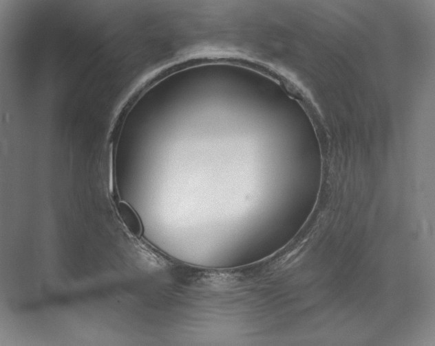 X0000073991175200609060950