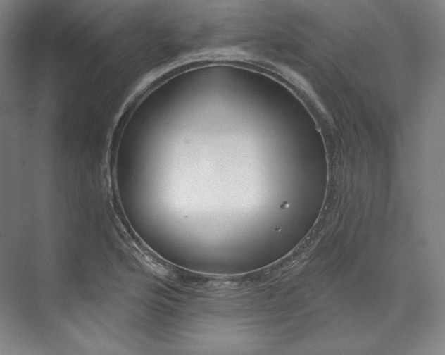 X0000073991176200609060950