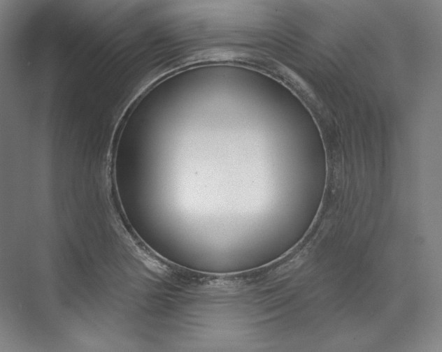 X0000073991178200609060950