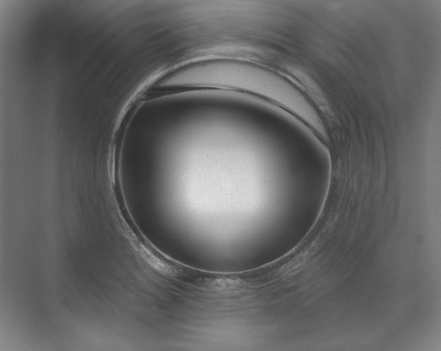 X0000073991180200609060950