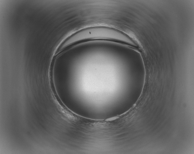 X0000073991181200609060950