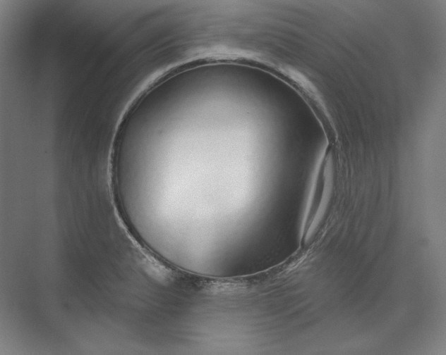 X0000073991183200609060950