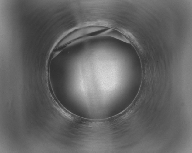 X0000073991184200609060950