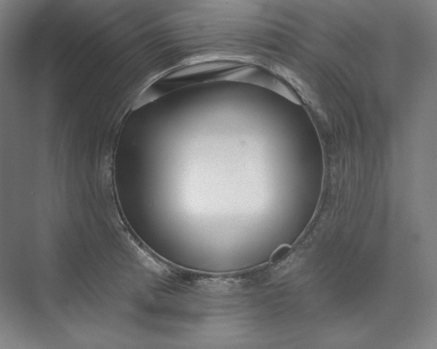 X0000073991185200609060950