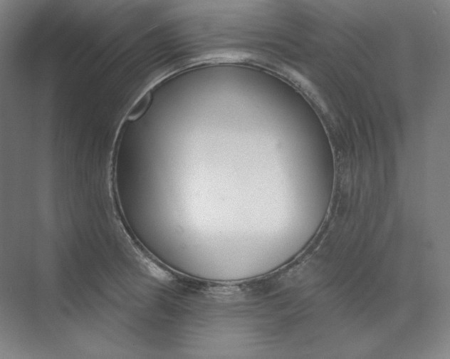 X0000073991186200609060950