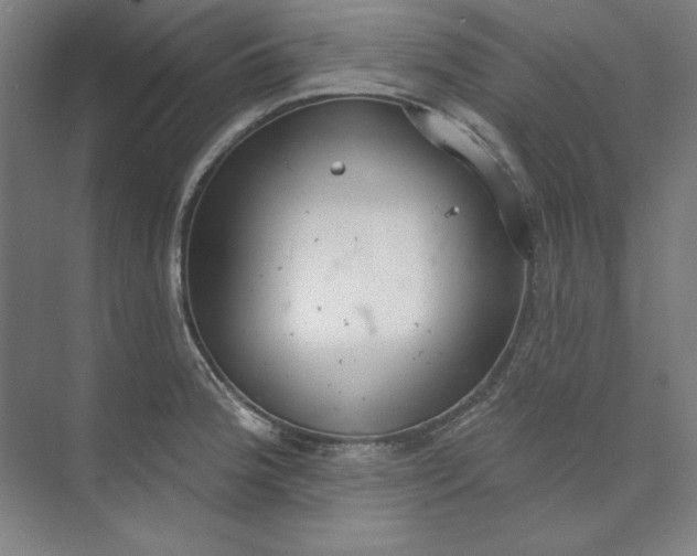 X0000073991188200609060950