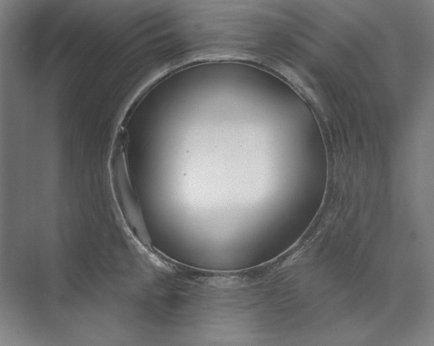 X0000073991189200609060950