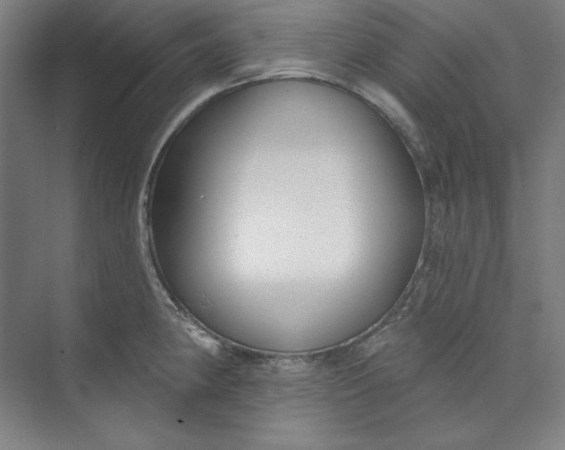 X0000073991190200609060950