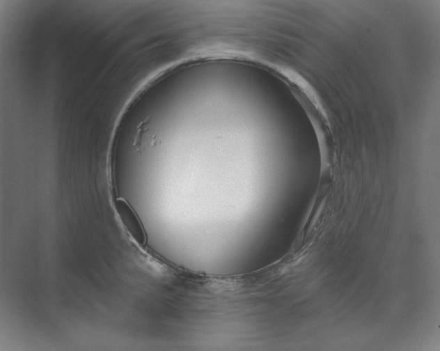 X0000073991191200609060950