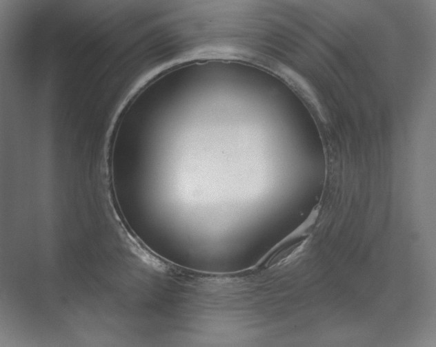 X0000073991192200609060950