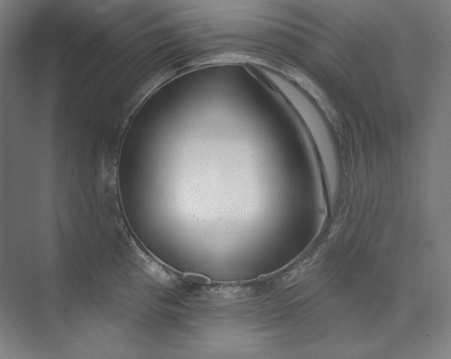 X0000073991193200609060949